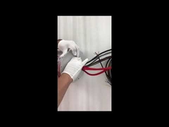 Ethernet slip ring ECN000-21P-06S-01EG